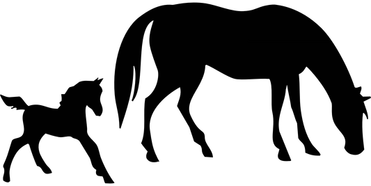 Aufkleber Pferd mit Folen Deko Auto