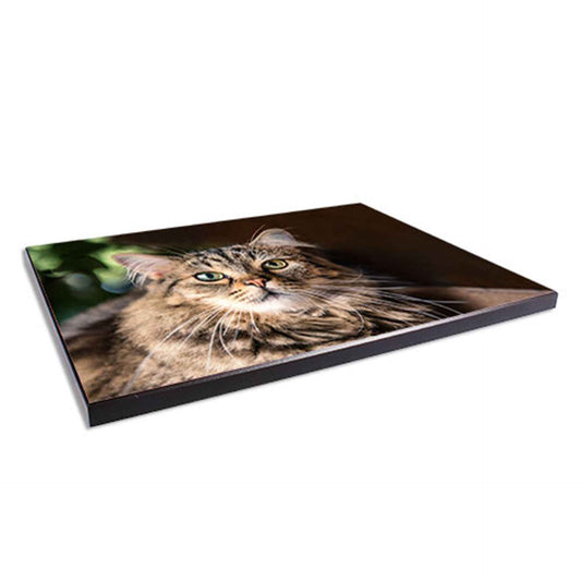Wandtafel weiß glänzend bedruckbar