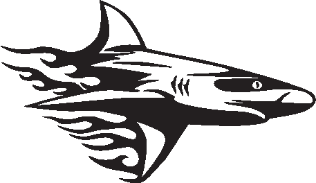 Hai Aufkleber Decal Auto