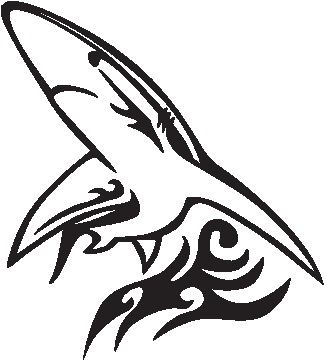 Hai Aufkleber Decal Auto