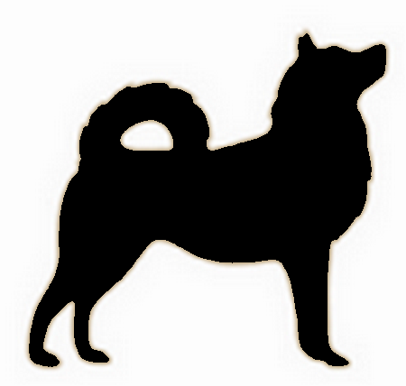 Aufkleber Hund Husky