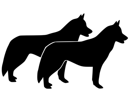 Aufkleber Hund zwei Huskys