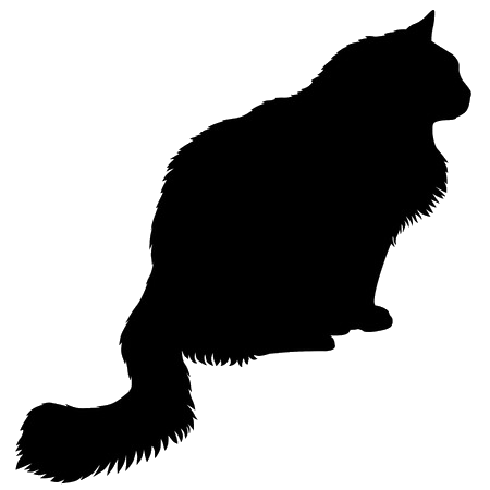 Aufkleber Katze Deko Auto