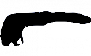 Aufkleber Kontur Umriss Langeoog