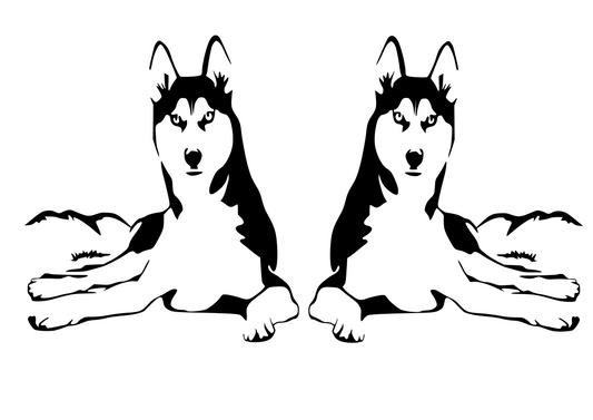 Husky Dog Sticker