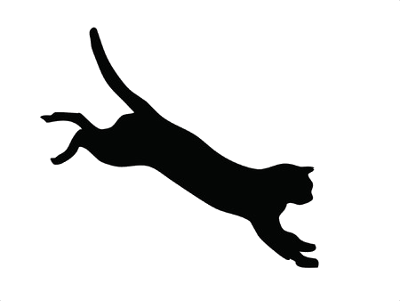 Cat sticker