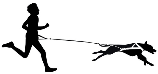 Aufkleber  Canicross Dog