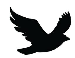 Bird sticker
