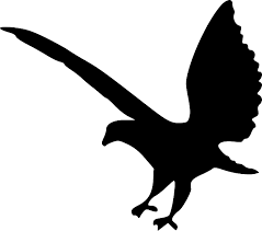Aufkleber Vinylfolie Greifvogel  Deko